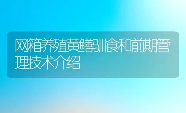 网箱养殖黄鳝驯食和前期管理技术介绍 | 动物养殖教程