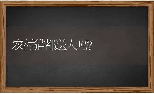 农村猫都送人吗？ | 动物养殖问答