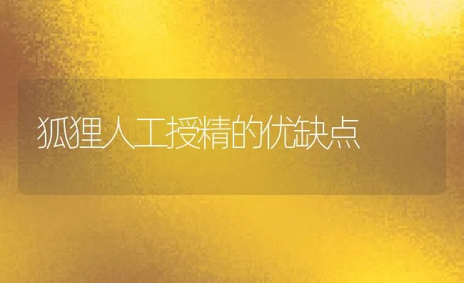 狐狸人工授精的优缺点 | 动物养殖学堂