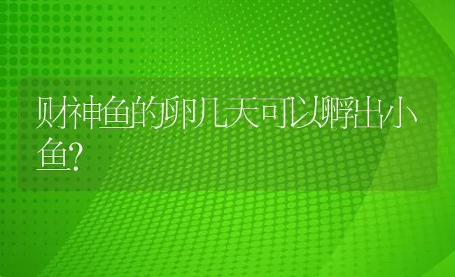 财神鱼的卵几天可以孵出小鱼？ | 鱼类宠物饲养