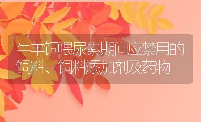 牛羊饲喂尿素期间应禁用的饲料、饲料添加剂及药物 | 动物养殖饲料