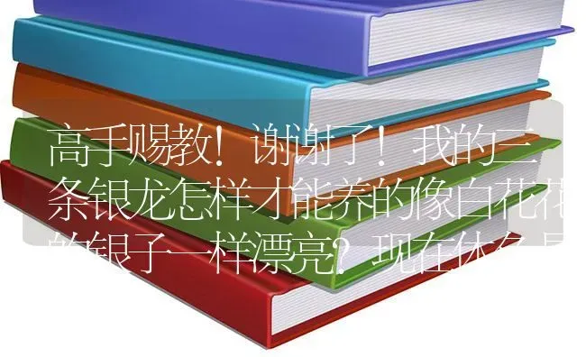 红绿灯鱼是不是非常不好养啊！我每次买二十条不到四天就死一半？ | 鱼类宠物饲养