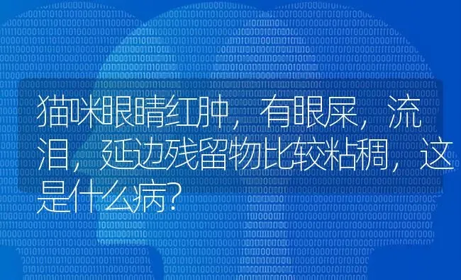 猫咪眼睛红肿，有眼屎，流泪，延边残留物比较粘稠，这是什么病？ | 动物养殖问答