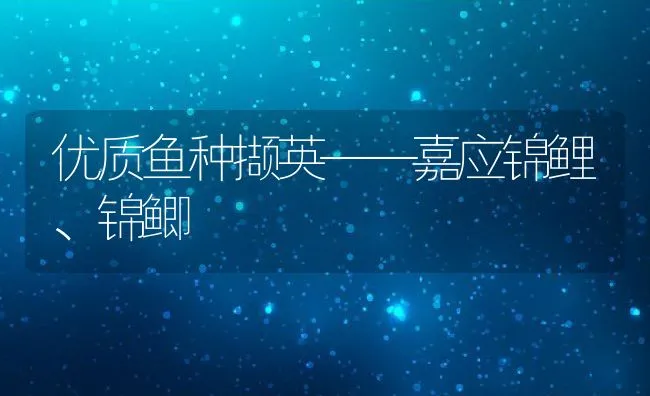 优质鱼种撷英——嘉应锦鲤、锦鲫 | 动物养殖饲料