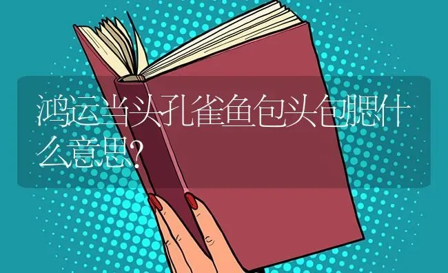 鸿运当头孔雀鱼包头包腮什么意思？ | 鱼类宠物饲养