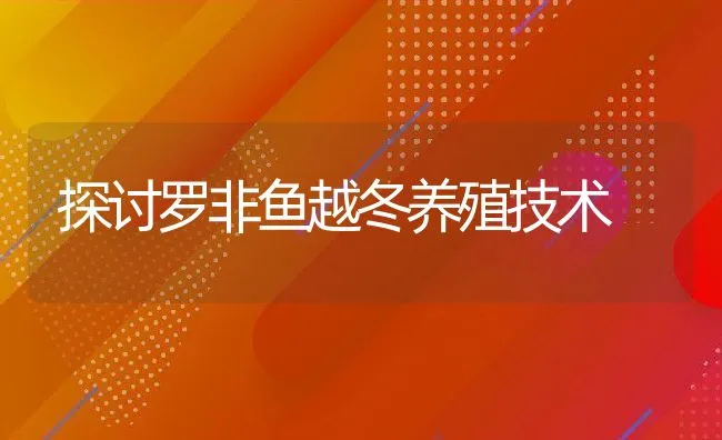 探讨罗非鱼越冬养殖技术 | 动物养殖饲料