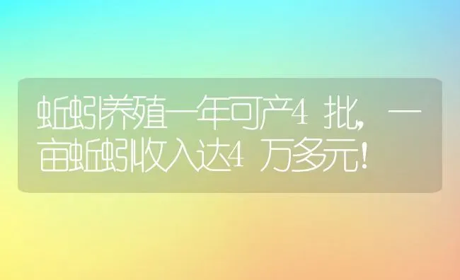 蚯蚓养殖一年可产4批，一亩蚯蚓收入达4万多元！ | 动物养殖百科