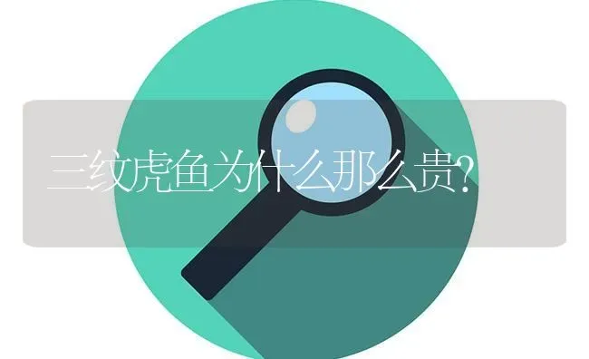 半月斗鱼多久繁殖一次？ | 鱼类宠物饲养