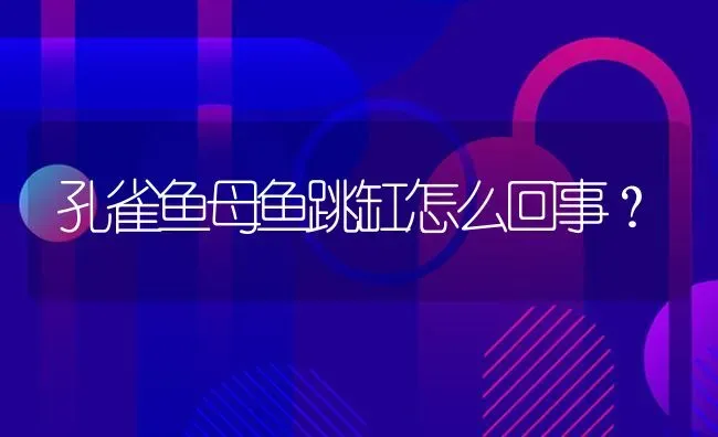 孔雀鱼母鱼跳缸怎么回事？ | 鱼类宠物饲养