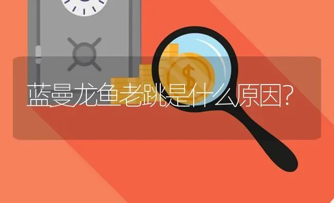 蓝曼龙鱼老跳是什么原因？ | 鱼类宠物饲养