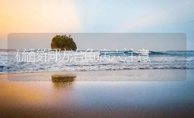 硫酸铜防治鱼病六注意 | 海水养殖技术