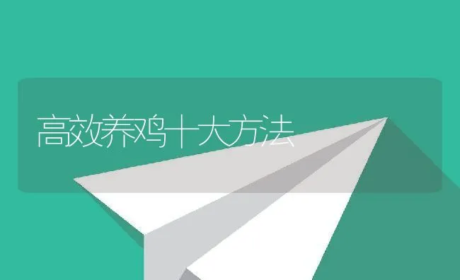 高效养鸡十大方法 | 动物养殖学堂