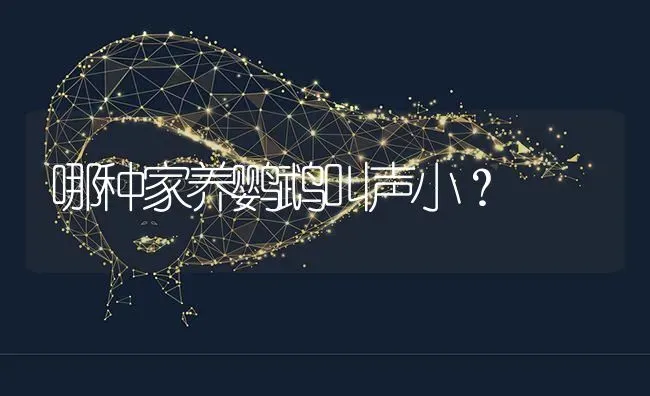 三个月的比熊怎么修剪？ | 动物养殖问答