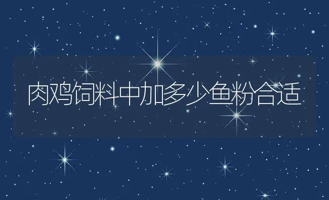 肉鸡饲料中加多少鱼粉合适 | 动物养殖饲料