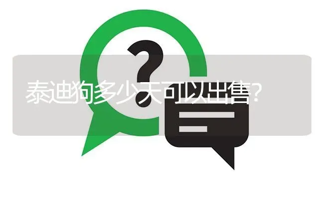 泰迪狗多少天可以出售？ | 动物养殖问答