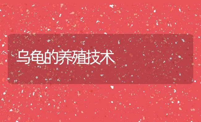 乌龟的养殖技术 | 动物养殖饲料