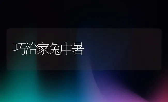 巧治家兔中暑 | 动物养殖学堂