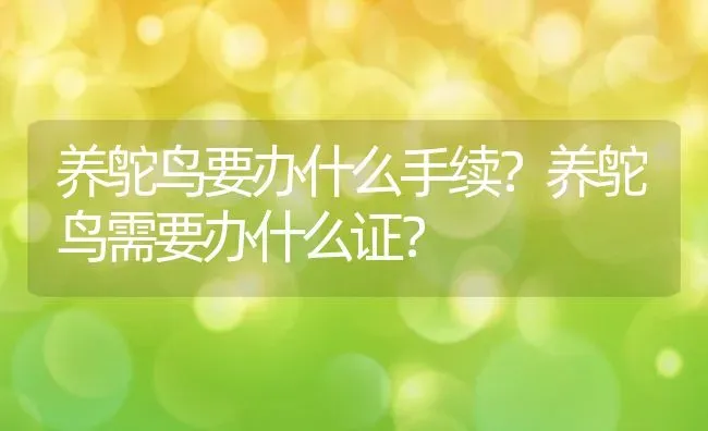 养鸵鸟要办什么手续？养鸵鸟需要办什么证？ | 动物养殖百科