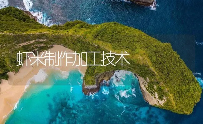 虾米制作加工技术 | 海水养殖技术