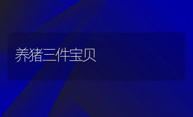 养猪三件宝贝 | 动物养殖学堂