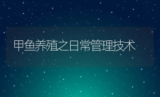 甲鱼养殖之日常管理技术 | 动物养殖饲料