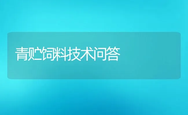 青贮饲料技术问答 | 动物养殖学堂