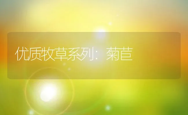 狐貉发情与配种时的技术要点 | 动物养殖学堂