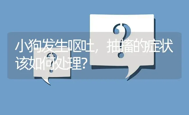 小狗发生呕吐，抽搐的症状该如何处理？ | 动物养殖问答