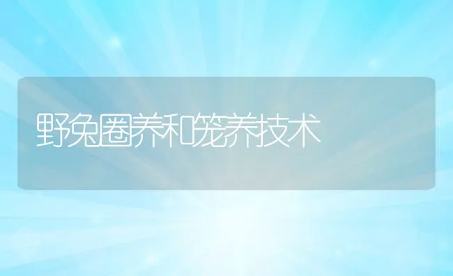 野兔圈养和笼养技术 | 动物养殖饲料