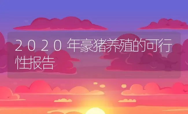 2020年豪猪养殖的可行性报告 | 动物养殖百科