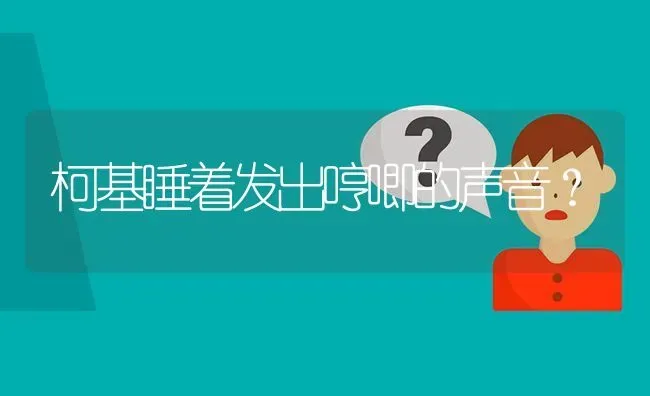 柯基睡着发出哼唧的声音？ | 动物养殖问答