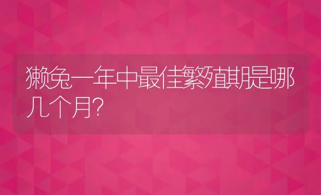 獭兔一年中最佳繁殖期是哪几个月？ | 动物养殖学堂