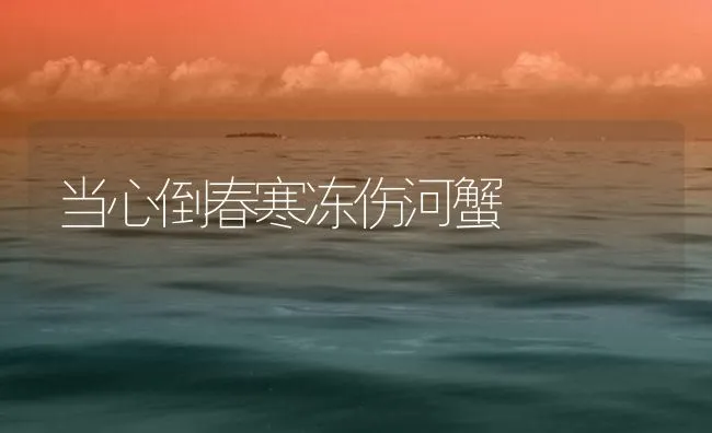 当心倒春寒冻伤河蟹 | 海水养殖技术