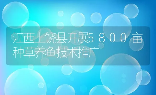 江西上饶县开展5800亩种草养鱼技术推广 | 动物养殖饲料