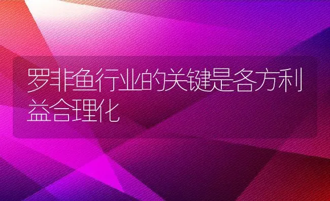 罗非鱼行业的关键是各方利益合理化 | 动物养殖教程