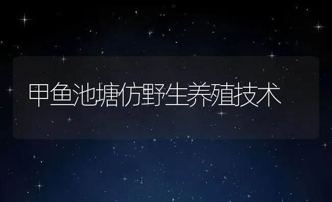 甲鱼池塘仿野生养殖技术 | 水产养殖知识