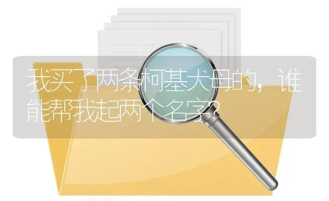 我买了两条柯基犬母的，谁能帮我起两个名字？ | 动物养殖问答