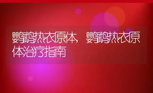 鹦鹉热衣原体,鹦鹉热衣原体治疗指南 | 宠物百科知识