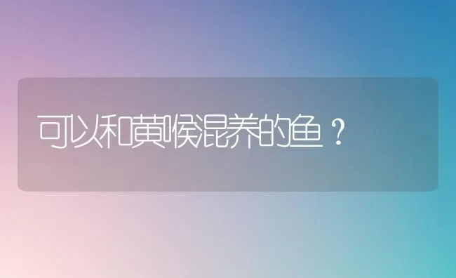 金毛怀孕40天了,肚子看不出来有什么变化,正常吗这样？ | 动物养殖问答