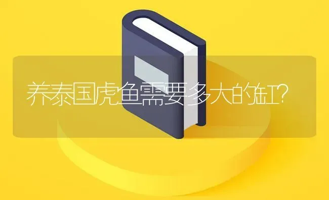 养泰国虎鱼需要多大的缸？ | 鱼类宠物饲养