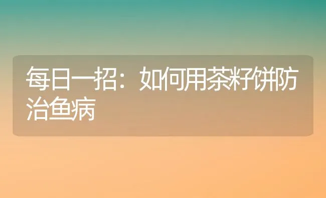 每日一招：如何用茶籽饼防治鱼病 | 水产养殖知识