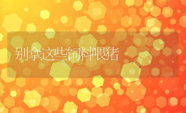 牛、羊腐蹄病的防治 | 动物养殖学堂