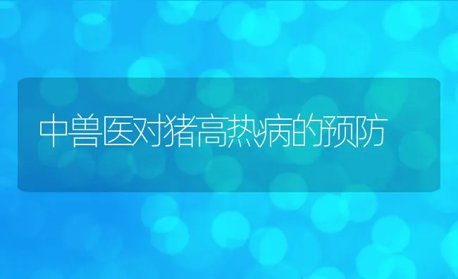 深圳养犬管理条例明起实施 养狗免上牌费年交300元 | 动物养殖学堂