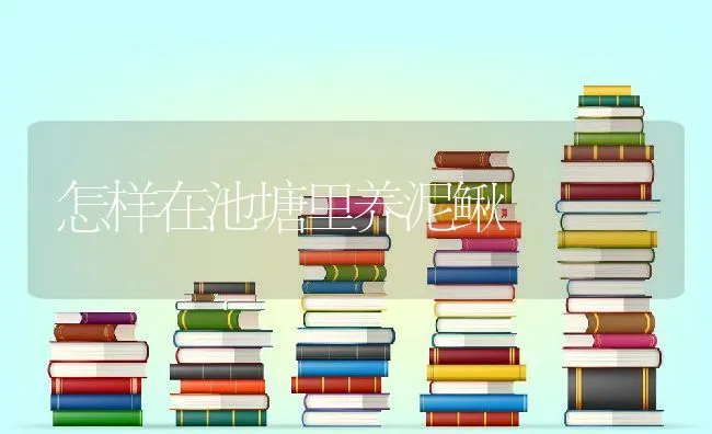 蛋鸡合理补钙的措施 | 动物养殖学堂