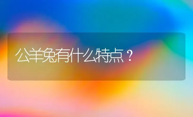 公羊兔有什么特点？ | 动物养殖问答