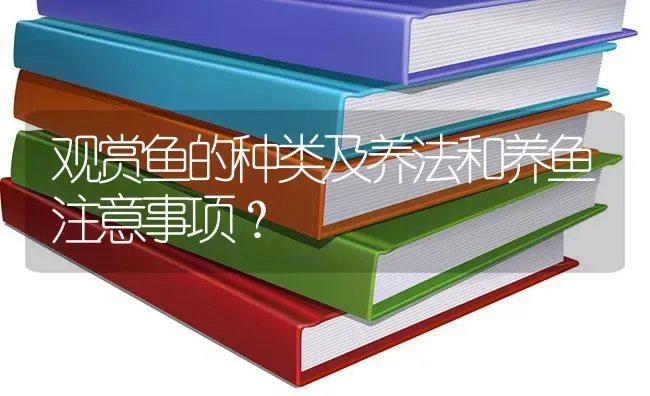 观赏鱼的种类及养法和养鱼注意事项？ | 鱼类宠物饲养