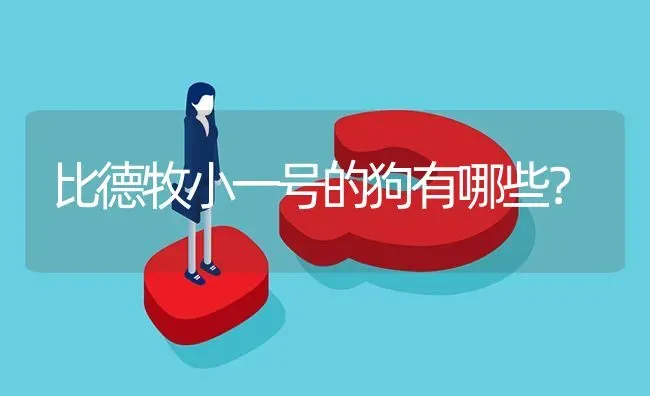 比德牧小一号的狗有哪些？ | 动物养殖问答