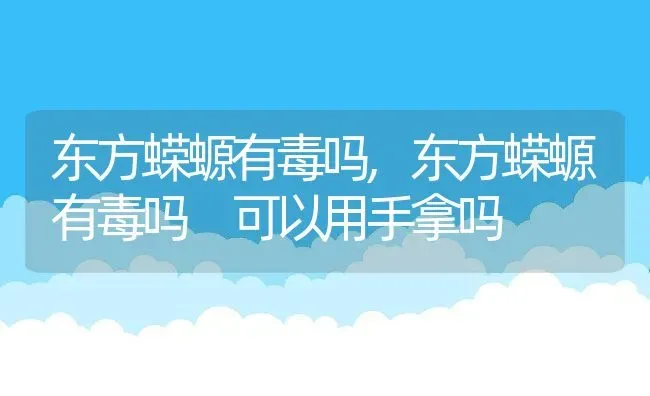 东方蝾螈有毒吗,东方蝾螈有毒吗 可以用手拿吗 | 宠物百科知识