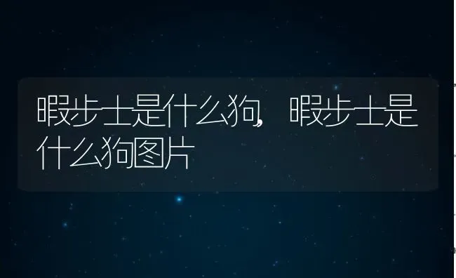 暇步士是什么狗,暇步士是什么狗图片 | 宠物百科知识