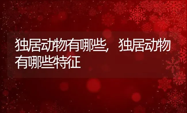 独居动物有哪些,独居动物有哪些特征 | 宠物百科知识